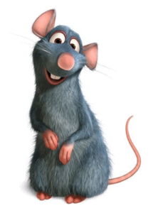 cute-rat-pic-ratatouille-443978_315_400